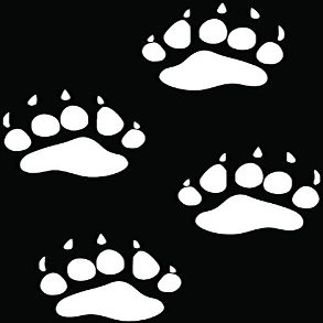 Bear Paws Prints Tracks Hunting Car Truck Window Bumper Vinyl Graphic Decal Sticker- (6 inch) / (15 cm) Tall GLOSS WHITE Color