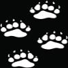 Bear Paws Prints Tracks Hunting Car Truck Window Bumper Vinyl Graphic Decal Sticker- (6 inch) / (15 cm) Tall GLOSS WHITE Color view 1