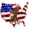 Nostalgia Decals USA as a Flag with Eagle Large Decal 11.5 in. x 8 in in The United States view 1