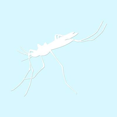 Mosquito Hawk Insect - Vinyl Decal Sticker - 7.25" x 5.75" - White