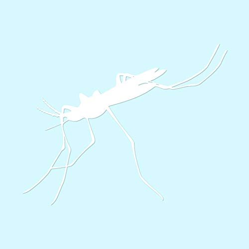 Mosquito Hawk Insect - Vinyl Decal Sticker - 7.25" x 5.75" - White