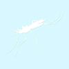 Mosquito Hawk Insect - Vinyl Decal Sticker - 7.25" x 5.75" - White view 1