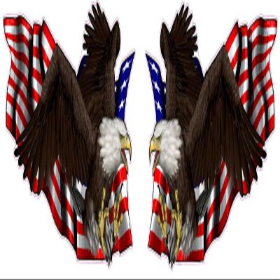 United States Flag with Soaring Eagle Left and Right Decal 6" Each in The United States