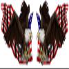 United States Flag with Soaring Eagle Left and Right Decal 6" Each in The United States view 1