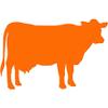 Dairy Cow Bovine - Vinyl Decal Sticker - 5.75" x 3.75" - Orange view 1