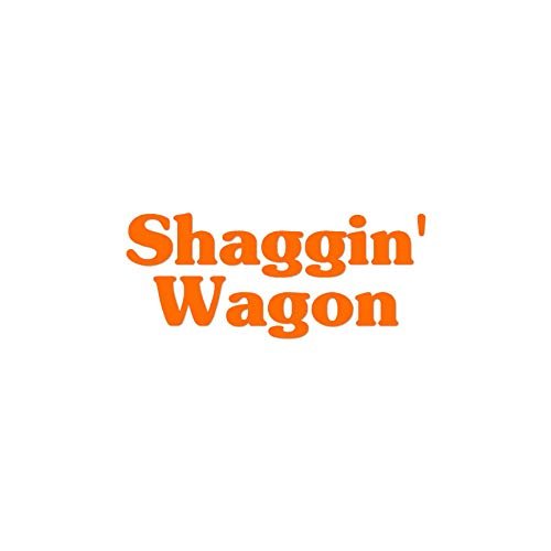 Shaggin Wagon - Vinyl Decal Sticker - 6" x 2.5" - Orange