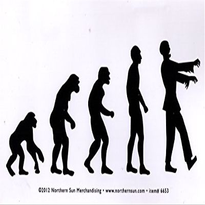 Zombie Evolution - Small Magnetic Bumper Sticker / Decal Magnet (5" X 3")