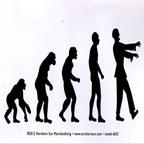 Zombie Evolution - Small Magnetic Bumper Sticker / Decal Magnet (5" X 3")
