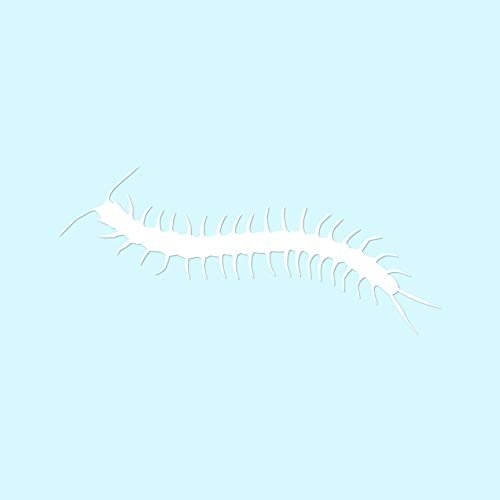 Centipede Millipede Insect - Vinyl Decal Sticker - 17" x 7.5" - White