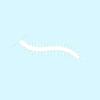 Centipede Millipede Insect - Vinyl Decal Sticker - 17" x 7.5" - White view 1