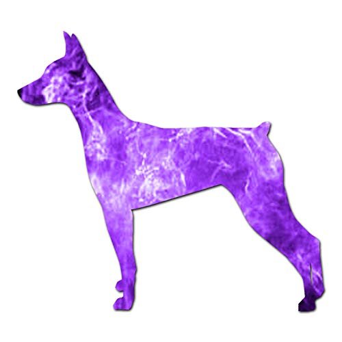 German Pinscher Dog Breed - Vinyl Decal Sticker - 4.1" x 3.75" - Purple Flames