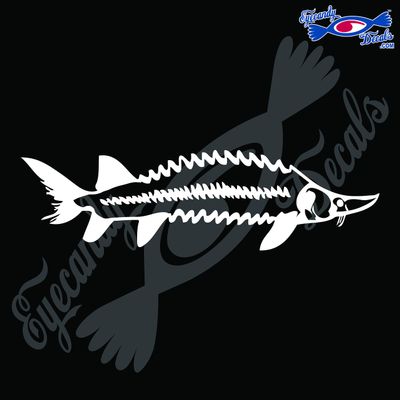 Eyecandy Decals Sturgeon Fish 6" White Decal Sticker