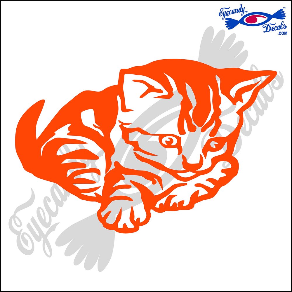 Eyecandy Decals CAT Kitten 6" Decal Sticker Orange