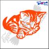 Eyecandy Decals CAT Kitten 6" Decal Sticker Orange view 1