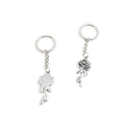 2 Pieces Keyring Keychain Keytag Key Ring Chain Tag Door Car Wholesale Jewelry Making Charms S5RG8 Rose