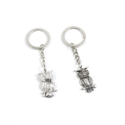 2 Pieces Keyring Keychain Keytag Key Ring Chain Tag Door Car Wholesale Jewelry Making Charms V2KU1 Owl