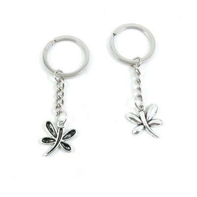 2 Pieces Keyring Keychain Keytag Key Ring Chain Tag Door Car Wholesale Jewelry Making Charms V3NA6 Dragonfly