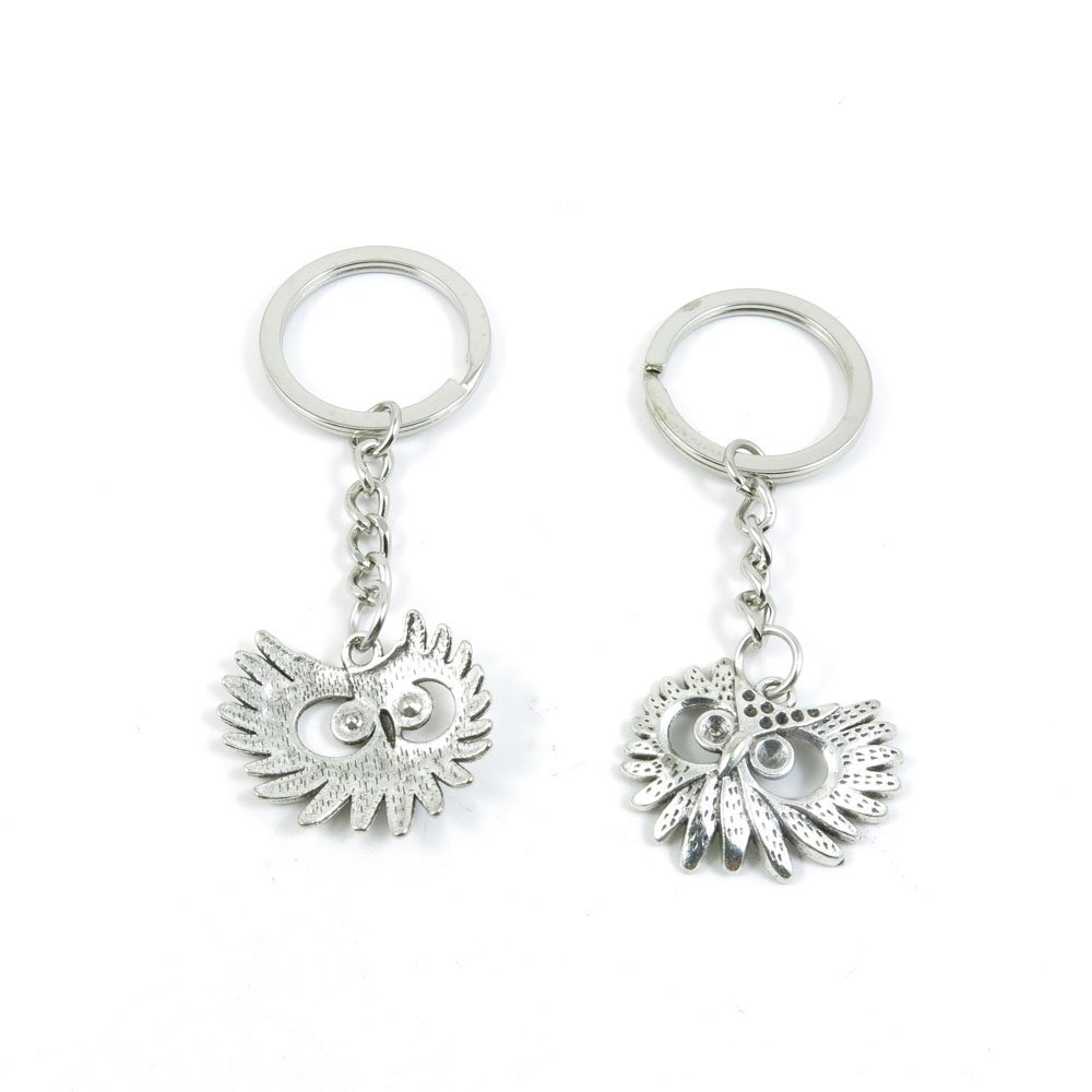 2 Pieces Keyring Keychain Keytag Key Ring Chain Tag Door Car Wholesale Jewelry Making Charms L2CW3 Owl