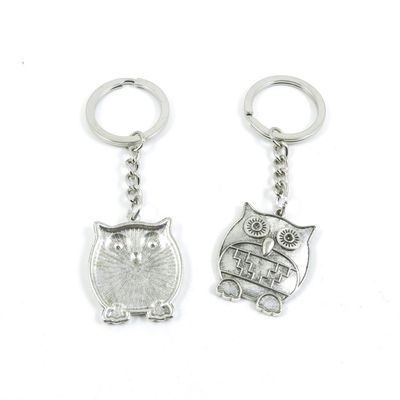 2 Pieces Keyring Keychain Keytag Key Ring Chain Tag Door Car Wholesale Jewelry Making Charms K0NV1 Owl