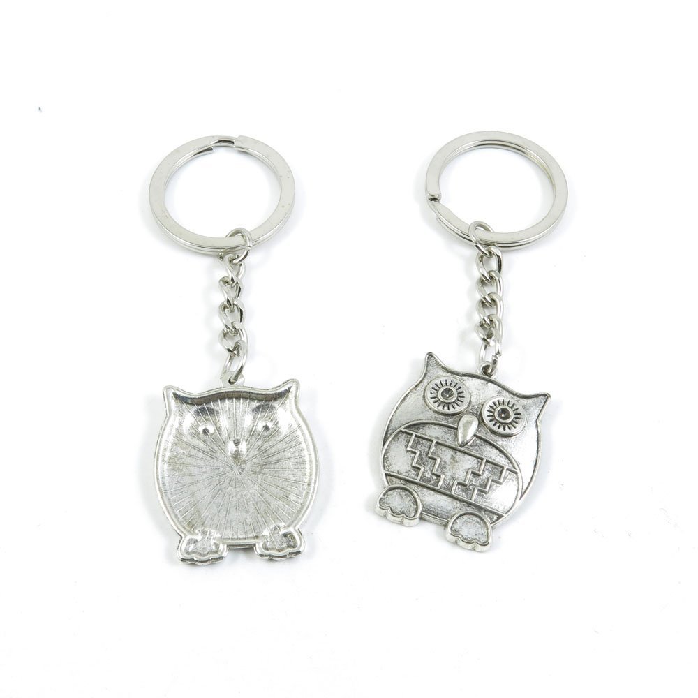 2 Pieces Keyring Keychain Keytag Key Ring Chain Tag Door Car Wholesale Jewelry Making Charms K0NV1 Owl