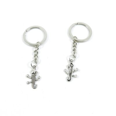 1 Pieces Keyring Keychain Keytag Key Ring Chain Tag Door Car Wholesale Jewelry Making Charms T1OM6 Lizard Gecko