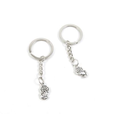 10 Pieces Keyring Key Ring Z2EK4 Money Frog Keychain Automotive Car Door Key Tags Findings Charms Chains