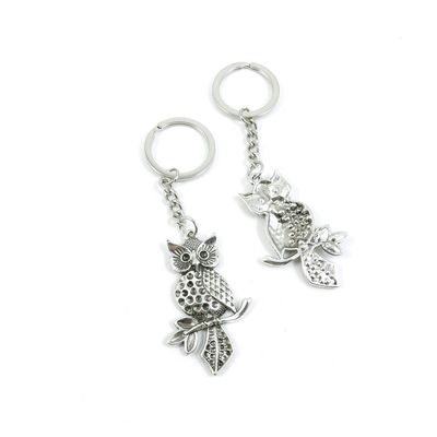 1 Pieces Keyring Key Ring E2EV4 Owl Keychain Automotive Car Door Key Tags Findings Charms Chains