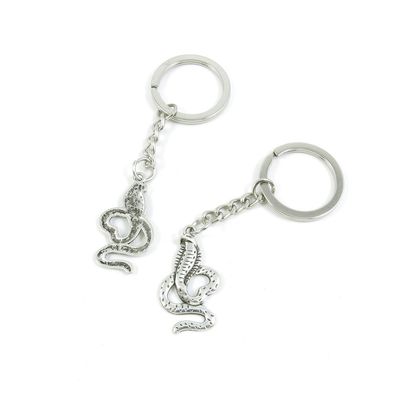 5 Pieces Keyring Key Ring B4RN6 Cobra Snake Keychain Automotive Car Door Key Tags Findings Charms Chains