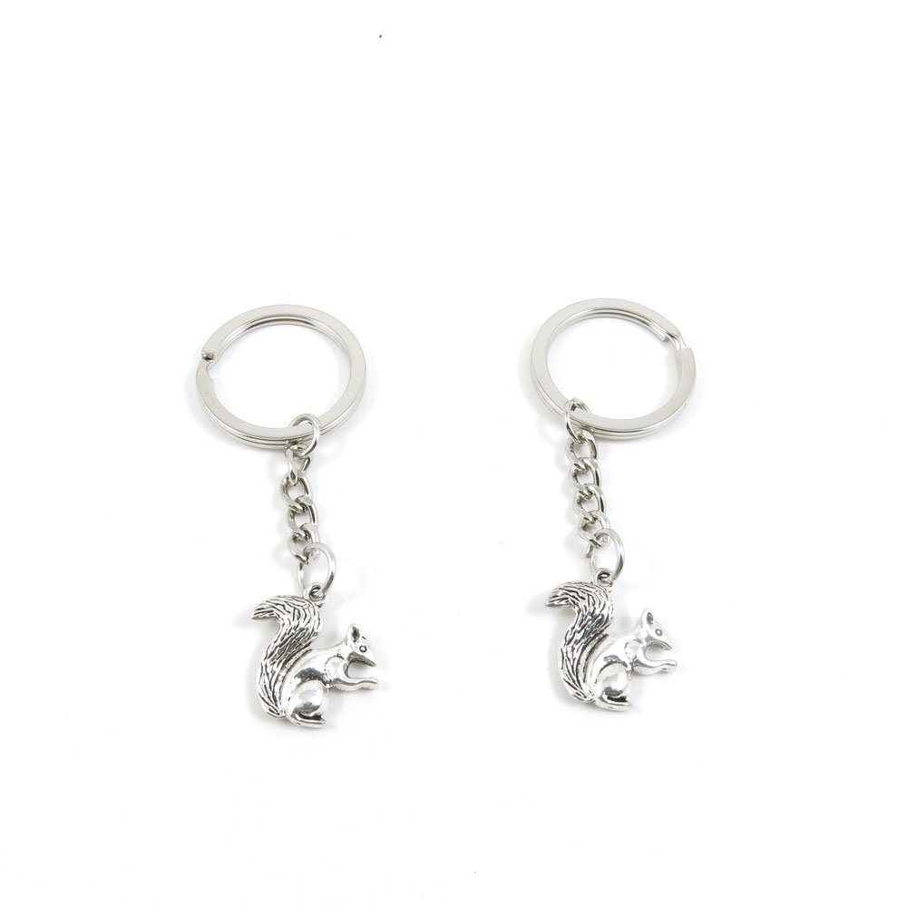 1 Pieces Keyring Keychain Keytag Key Ring Chain Tag Door Car Wholesale Jewelry Making Charms V2OP1 Squirrel