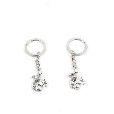 2 Pieces Keyring Keychain Keytag Key Ring Chain Tag Door Car Wholesale Jewelry Making Charms V2OP1 Squirrel