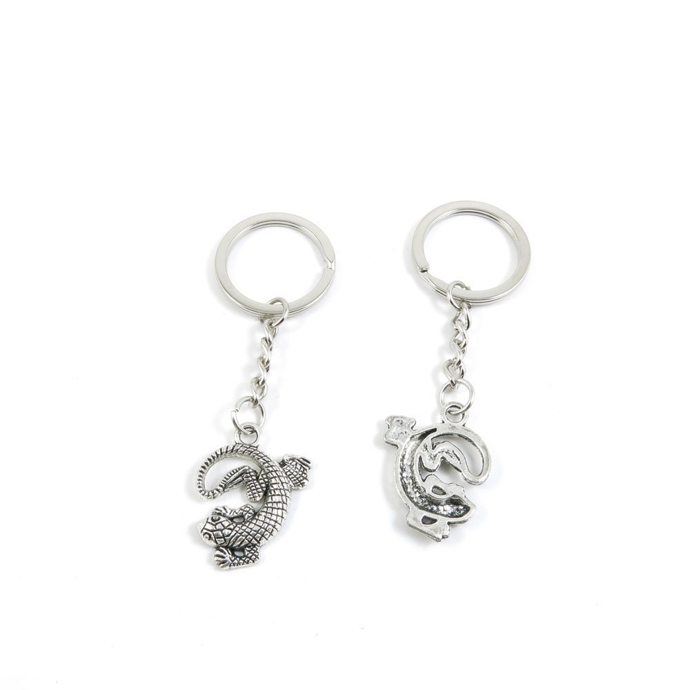 1 Pieces Keyring Keychain Keytag Key Ring Chain Tag Door Car Wholesale Jewelry Making Charms Z6ZH3 Lizard