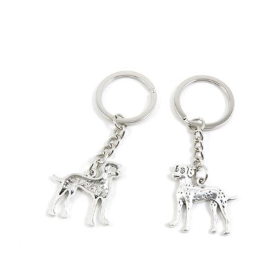 1 Pieces Keyring Keychain Keytag Key Ring Chain Tag Door Car Wholesale Jewelry Making Charms C6DC6 Dalmatian