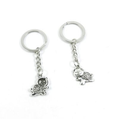 2 Pieces Keyring Keychain Keytag Key Ring Chain Tag Door Car Wholesale Jewelry Making Charms L3IJ8 Cute Tortoise Turtle
