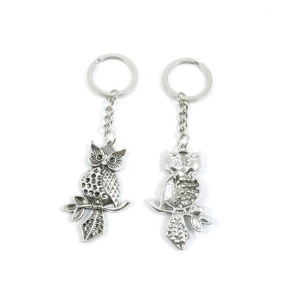 2 Pieces Keyring Keychain Keytag Key Ring Chain Tag Door Car Wholesale Jewelry Making Charms I6XW3 Owl