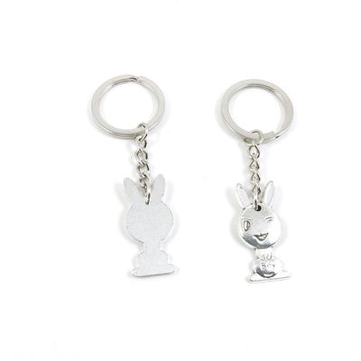 1 Pieces Keyring Keychain Keytag Key Ring Chain Tag Door Car Wholesale Jewelry Making Charms U8BD0 Rabbit