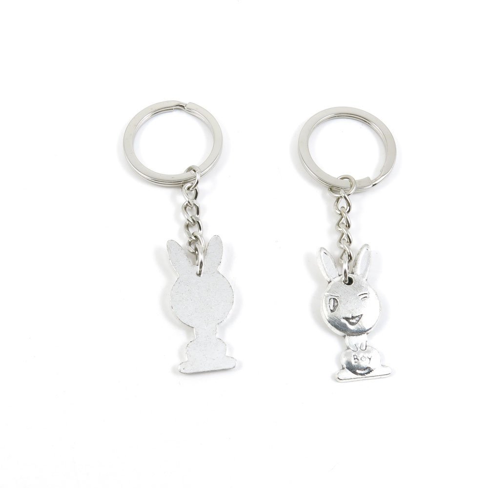 2 Pieces Keyring Keychain Keytag Key Ring Chain Tag Door Car Wholesale Jewelry Making Charms U8BD0 Rabbit