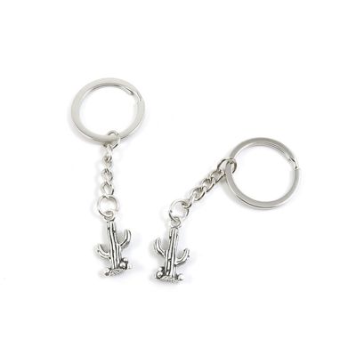 5 Pieces Keyring Key Ring Q3AZ4 Cactus Cacti Keychain Automotive Car Door Key Tags Findings Charms Chains