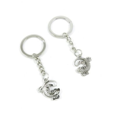 10 Pieces Keyring Key Ring K1CF7 Lizard Gecko Keychain Automotive Car Door Key Tags Findings Charms Chains