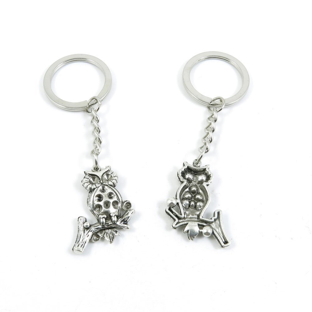 1 Pieces Keyring Keychain Keytag Key Ring Chain Tag Door Car Wholesale Jewelry Making Charms R4JX2 Owl