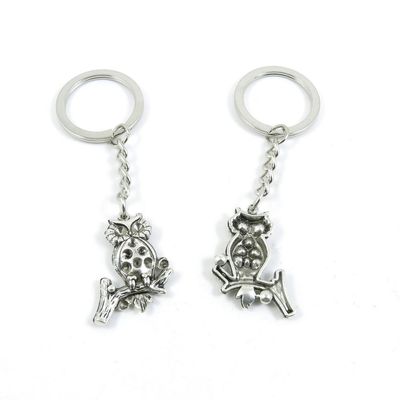 2 Pieces Keyring Keychain Keytag Key Ring Chain Tag Door Car Wholesale Jewelry Making Charms R4JX2 Owl