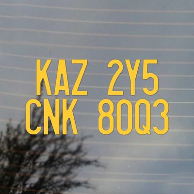 Cosplay & Fan Gear Impala Baby License Plate Paranormal Television Vinyl Decal (Sunflower Yellow)