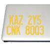 Cosplay & Fan Gear Impala Baby License Plate Paranormal Television Vinyl Decal (Sunflower Yellow) view 2