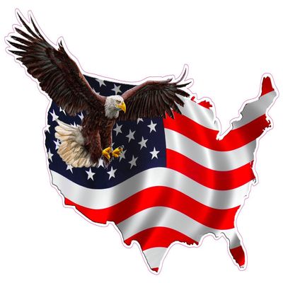 American Eagle United States Decal Large Version 1 12"