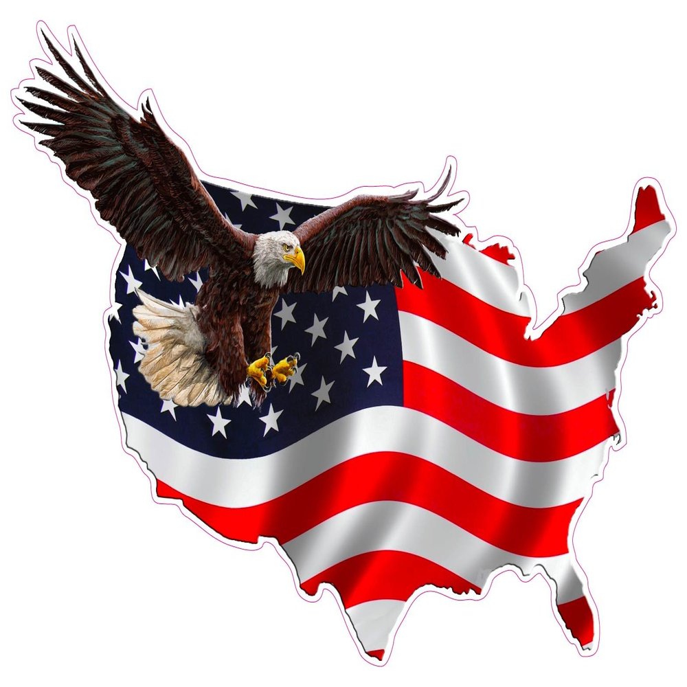 American Eagle United States Decal Large Version 1 12"