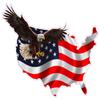 American Eagle United States Decal Large Version 1 12" view 1