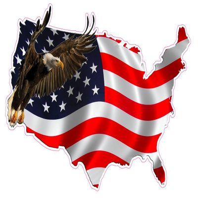 American Eagle United States Decal Large V2 12"