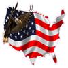 American Eagle United States Decal Large V2 12" view 1