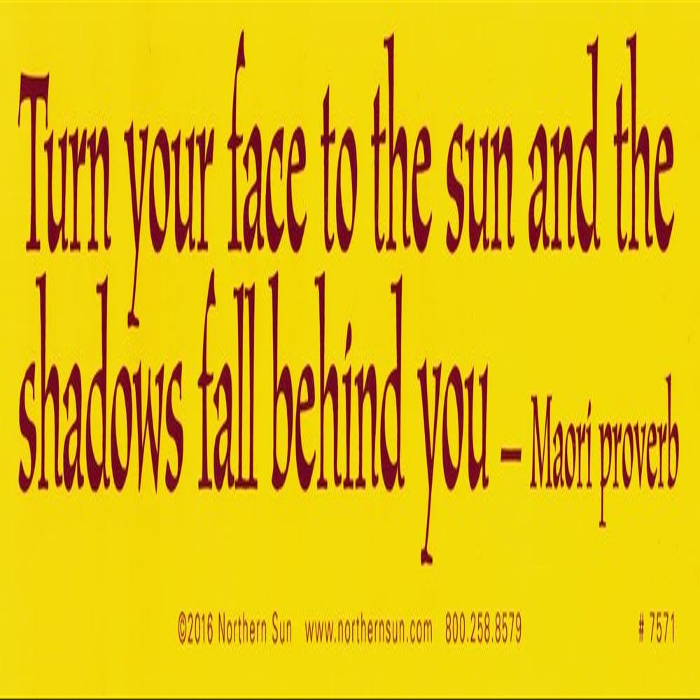 Turn Your Face To The Sun And The Shadows Fall Behind You - Maori Proverb - Magnetic Bumper Sticker / Decal Magnet (11.5" X 3")