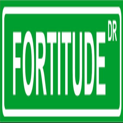 Novelty FORTITUDE 8" wide vinyl decal bumper sticker of street sign