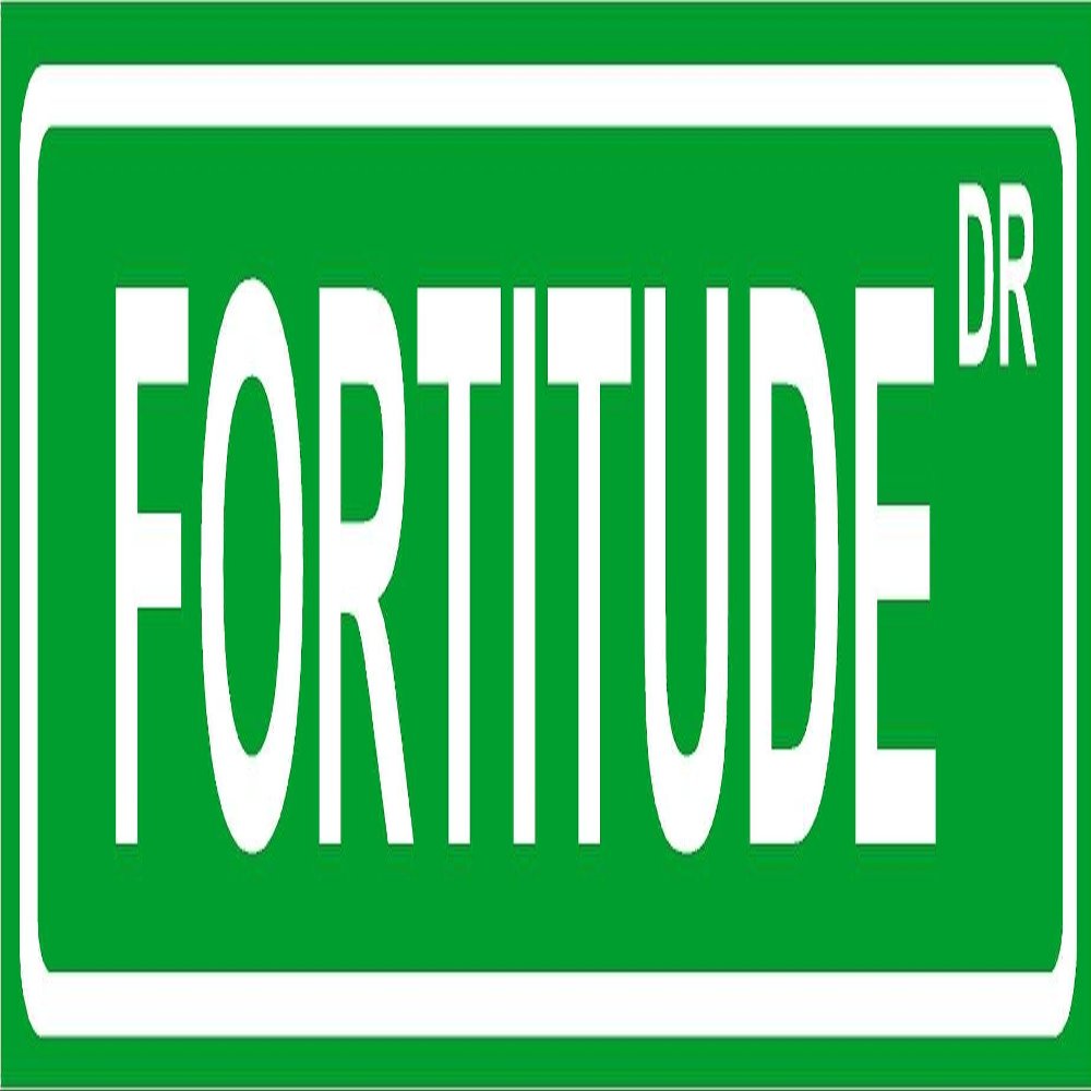 Novelty FORTITUDE 8" wide vinyl decal bumper sticker of street sign